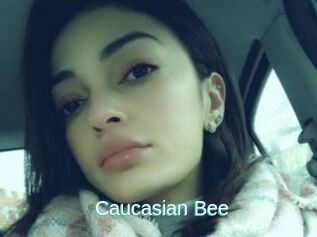 Caucasian_Bee