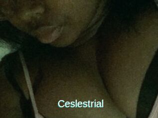 Ceslestrial