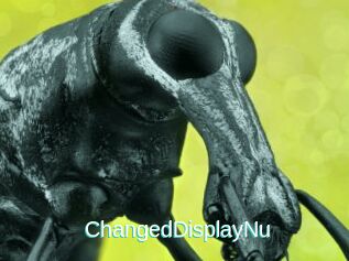 ChangedDisplayNu