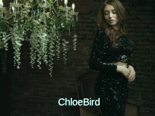ChloeBird