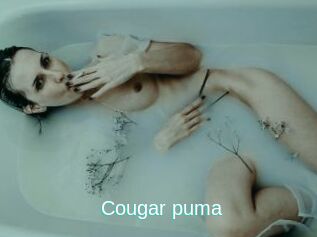 Cougar_puma