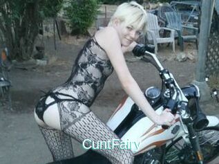 CuntFairy