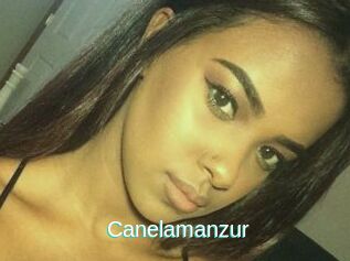 Canelamanzur