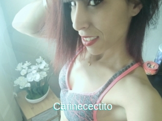Carinecectito