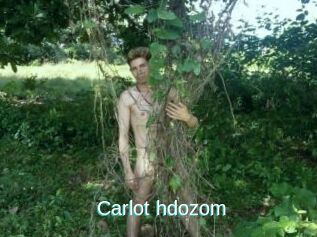 Carlot_hdozom
