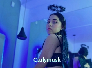Carlymusk