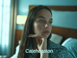 Cateheaston