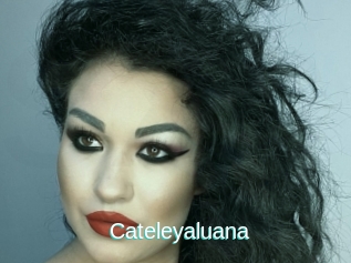 Cateleyaluana