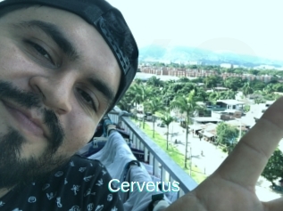 Cerverus