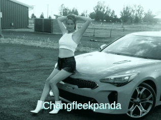 Changfleekpanda