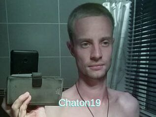 Chaton19