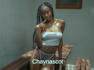 Chaynascot