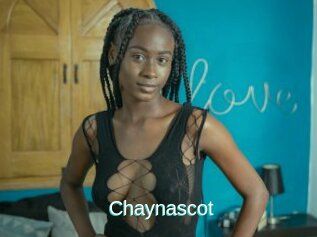Chaynascot
