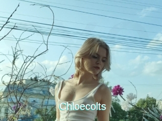 Chloecolts