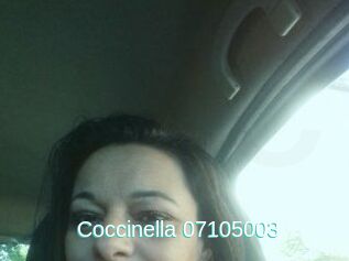 Coccinella-07105003