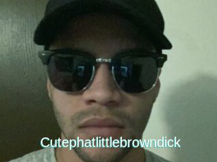 Cutephatlittlebrowndick