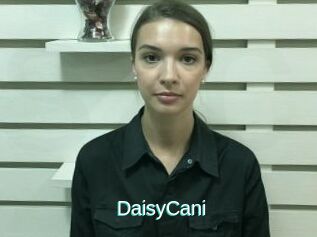 DaisyCani