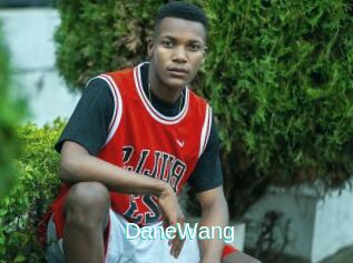 DaneWang