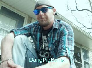 DangPigBenis