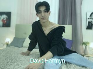 DavidHarmyn