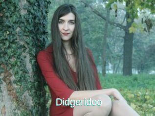 Didgeridoo