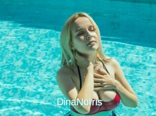 DinaNorris
