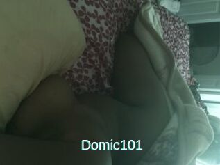 Domic101