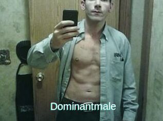 Dominantmale