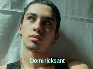 Dominicksant