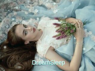 DreamSleep