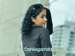 Dahliagarrido