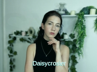 Daisycrosier