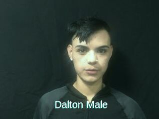 Dalton_Male