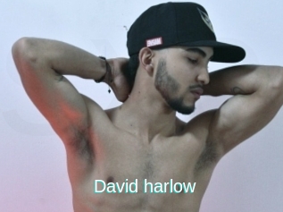 David_harlow