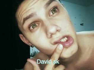 David_sk