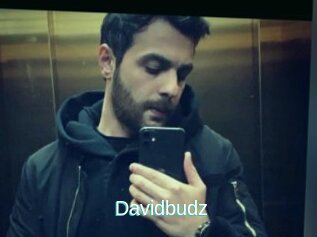 Davidbudz