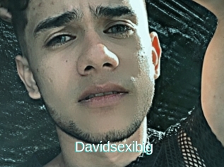 Davidsexibig