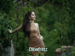 Dinafrittz