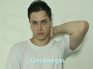Dominicegon