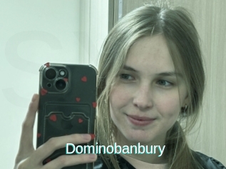 Dominobanbury