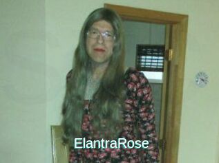 Elantra_Rose