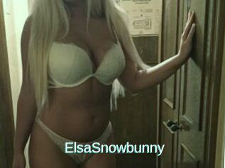 ElsaSnowbunny
