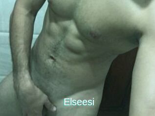 Elseesi