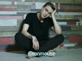 Eitonmouse