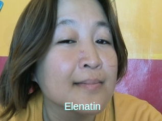 Elenatin