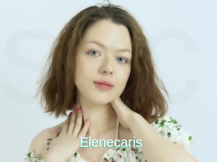 Elenecaris