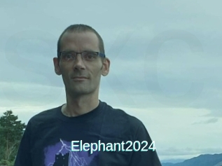 Elephant2024