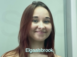 Elgaalsbrook