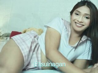 Elisulnagan
