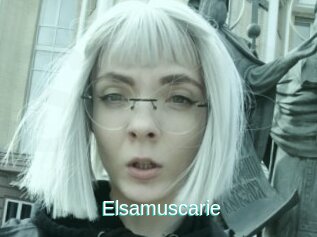 Elsamuscarie